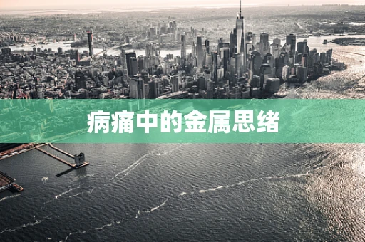 病痛中的金属思绪