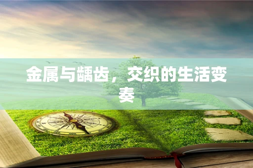 金属与龋齿，交织的生活变奏