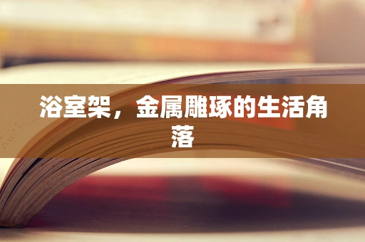 浴室架，金属雕琢的生活角落