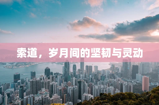 索道，岁月间的坚韧与灵动