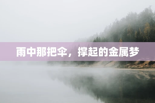 雨中那把伞，撑起的金属梦