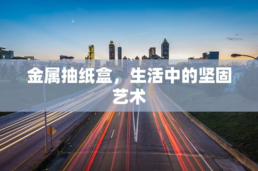 金属抽纸盒，生活中的坚固艺术