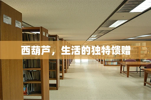 西葫芦，生活的独特馈赠