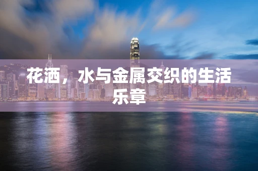 花洒，水与金属交织的生活乐章