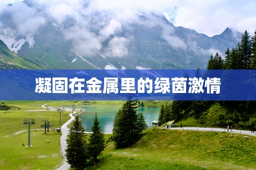 凝固在金属里的绿茵激情