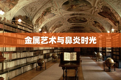 金属艺术与鼻炎时光