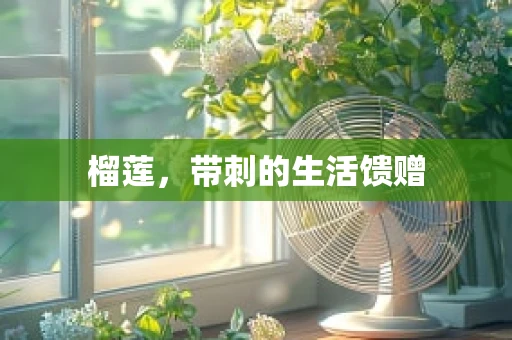 榴莲，带刺的生活馈赠