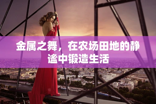 金属之舞，在农场田地的静谧中锻造生活