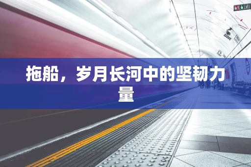 拖船，岁月长河中的坚韧力量