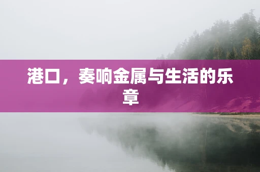 港口，奏响金属与生活的乐章