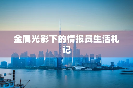 金属光影下的情报员生活札记