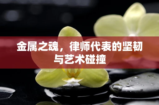 金属之魂，律师代表的坚韧与艺术碰撞