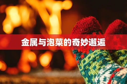 金属与泡菜的奇妙邂逅
