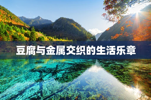 豆腐与金属交织的生活乐章