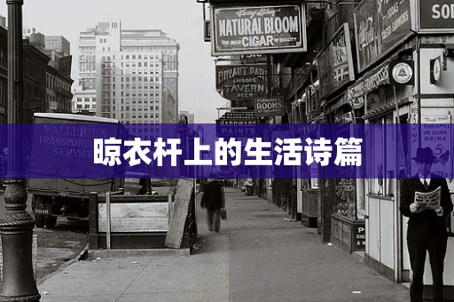 晾衣杆上的生活诗篇