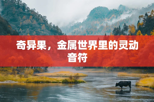 奇异果，金属世界里的灵动音符