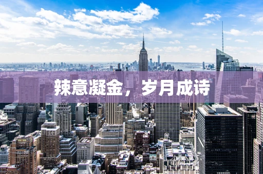 辣意凝金，岁月成诗