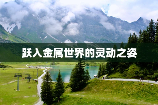 跃入金属世界的灵动之姿