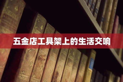 五金店工具架上的生活交响