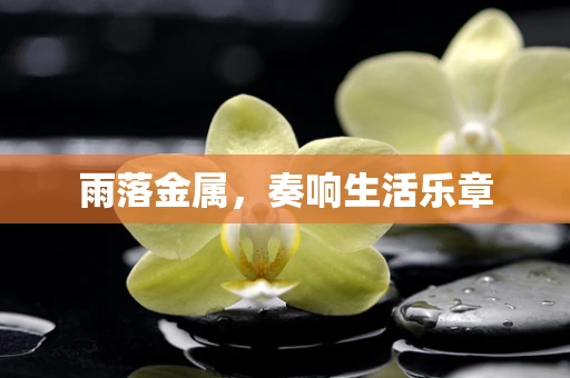 雨落金属，奏响生活乐章
