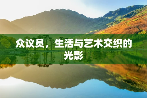 众议员，生活与艺术交织的光影