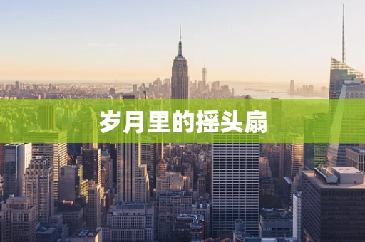 岁月里的摇头扇