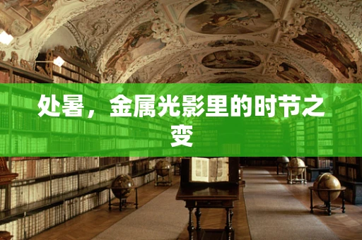 处暑，金属光影里的时节之变