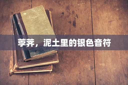 荸荠，泥土里的银色音符
