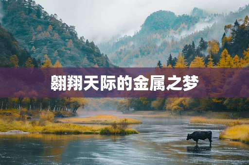 翱翔天际的金属之梦