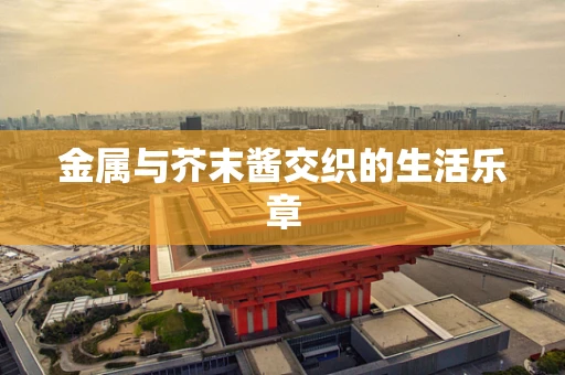 金属与芥末酱交织的生活乐章