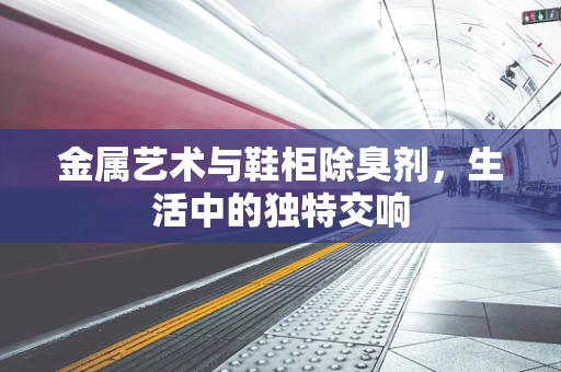 金属艺术与鞋柜除臭剂，生活中的独特交响
