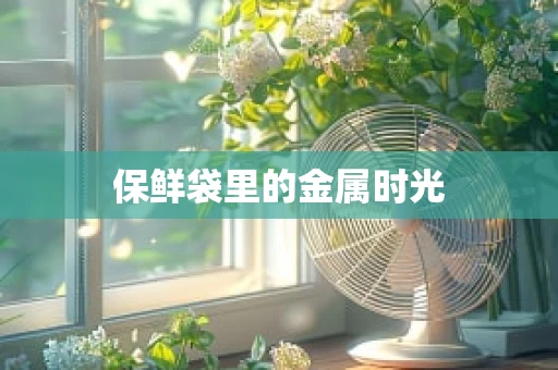 保鲜袋里的金属时光