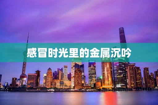 感冒时光里的金属沉吟