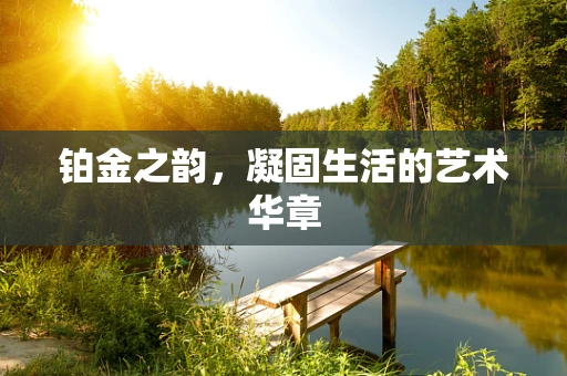 铂金之韵，凝固生活的艺术华章