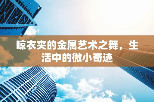 晾衣夹的金属艺术之舞，生活中的微小奇迹