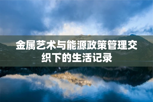 金属艺术与能源政策管理交织下的生活记录