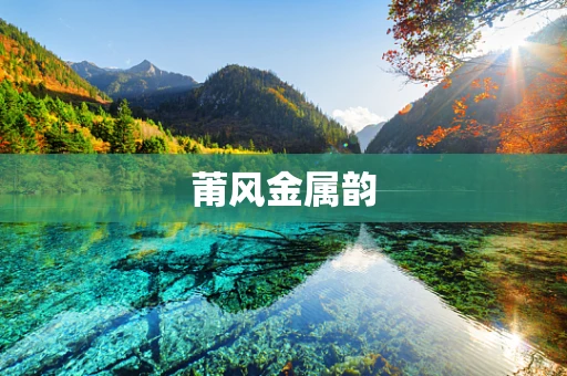 莆风金属韵