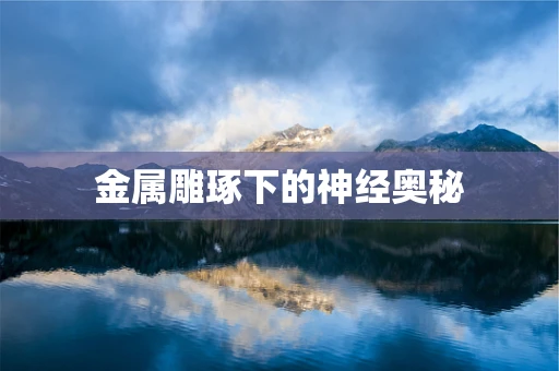 金属雕琢下的神经奥秘
