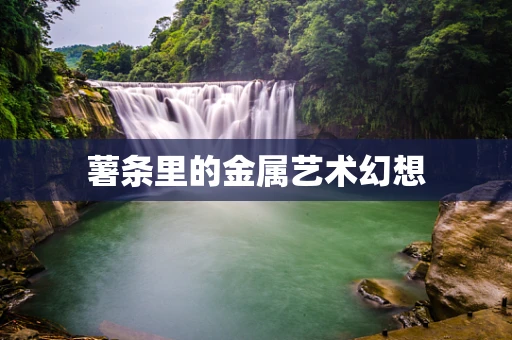 薯条里的金属艺术幻想