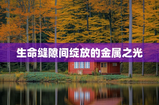 生命缝隙间绽放的金属之光