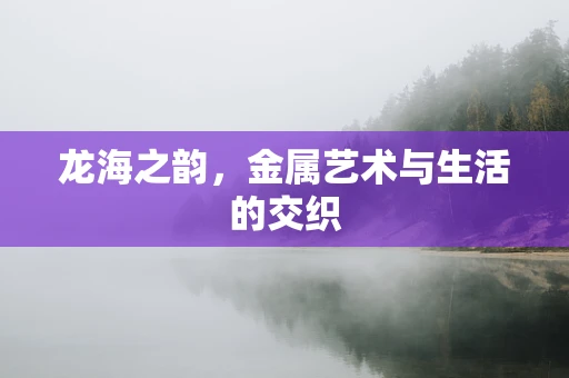 龙海之韵，金属艺术与生活的交织