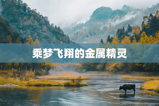 乘梦飞翔的金属精灵