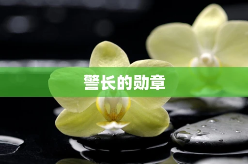 警长的勋章