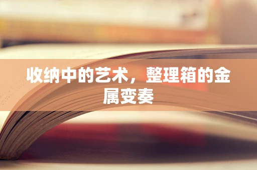 收纳中的艺术，整理箱的金属变奏