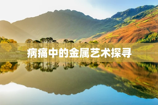 病痛中的金属艺术探寻