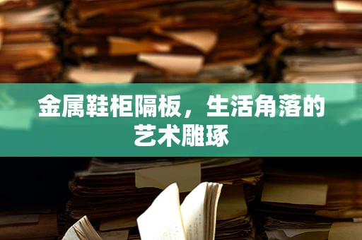 金属鞋柜隔板，生活角落的艺术雕琢