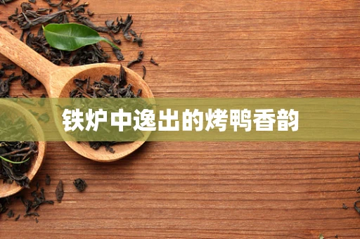 铁炉中逸出的烤鸭香韵
