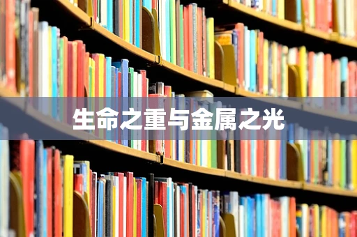 生命之重与金属之光