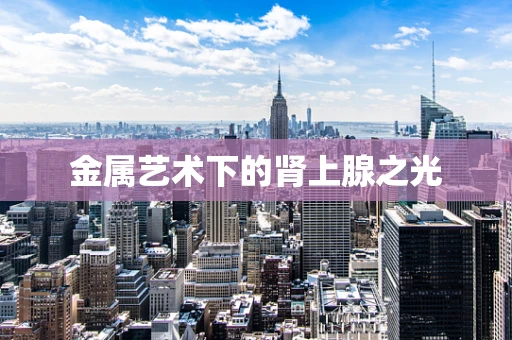 金属艺术下的肾上腺之光
