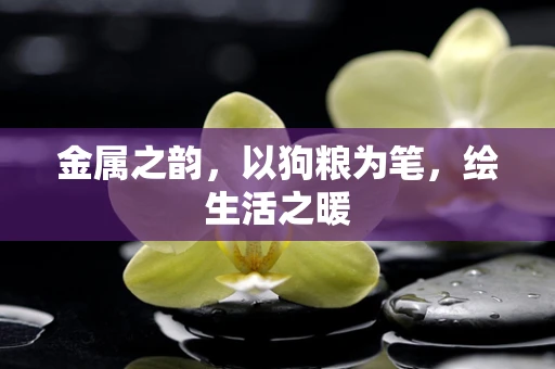 金属之韵，以狗粮为笔，绘生活之暖